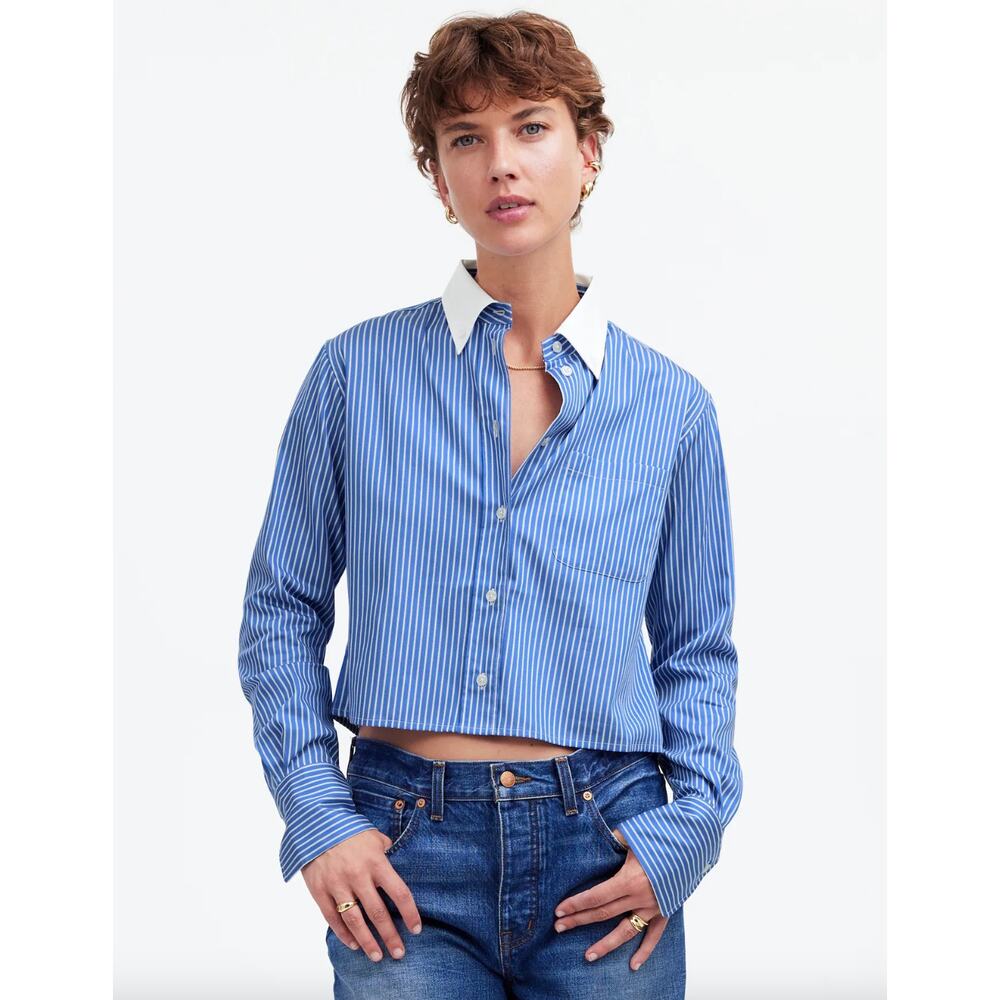 Madewell Blue Striped Button Down Shirt